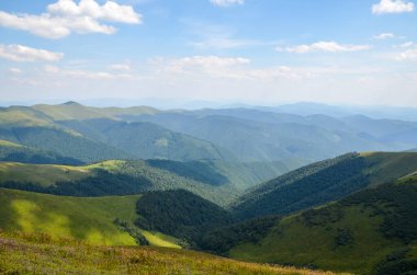 Çimenli çayırlar ve güneşli bir öğleden sonra ormanla kaplı yuvarlanan tepelerle dolu yaz dağları manzarası. Karpat Dağları, Ukrayna