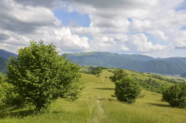 Wanderweg Durch Grasgrüne Hügel Und Abhänge Der Karpaten Während Des — Stockfoto