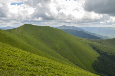 Bulutlu gökyüzüne karşı yemyeşil çimlerle kaplı yeşil bir dağ sırtının dik yamacı. Karpat Dağları, Ukrayna