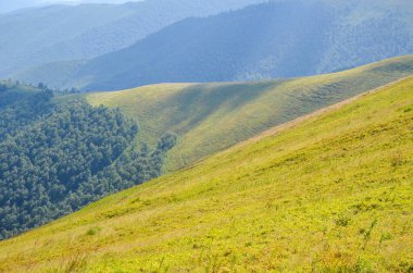 Yeşil çimenli, yuvarlanan yamaçları ve ağaçlı güneşli çayırları olan güneşli yaz manzarası. Güzel doğa konsepti