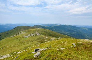 Yeşil Karpat dağlarının yaz manzarası yoğun bitki örtüsüyle, mavi bulutlu gökyüzünün altındaki yeşil tepelerin üstünde.