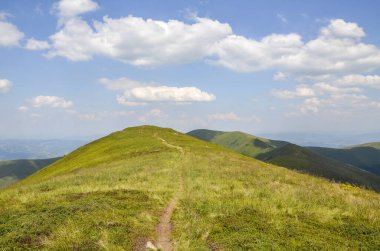 Mavi bulutlu bir gökyüzü altında, bulutlu yeşil çimen bitkileriyle kaplı dağ sırasının resimli görüntüsü. Karpat Dağları, Ukrayna 