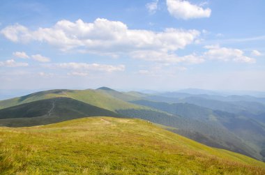 Yaz mevsiminde dağların yamaçlarında çimenli çayır manzarası. Karpat Dağları, Ukrayna