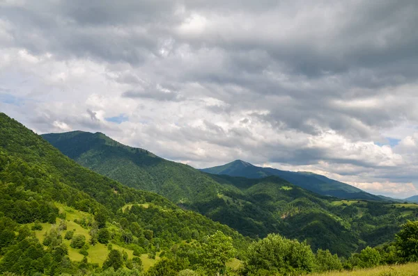 Grüne Berghänge Mit Wald Und Strymba Vor Bewölktem Himmel Der — Stockfoto