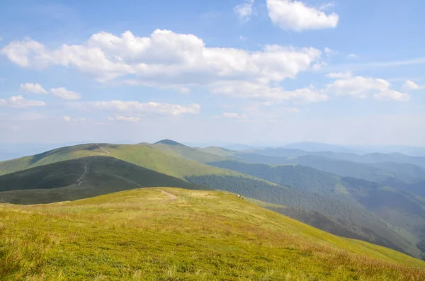 Yaz mevsiminde dağların yamaçlarında çimenli çayır manzarası. Karpat Dağları, Ukrayna