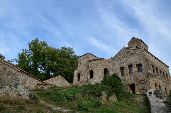 Ancient Monastic Complex Nekresi Located Top Mountain Alazani Valley Kakheti — Stockfoto