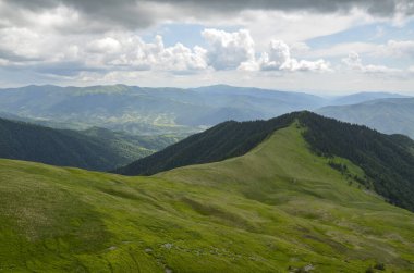 Cloudy summer landscape, green forest and grassy slopes against the background of mountain peaks and sky. Carpathian Mountains, Ukraine