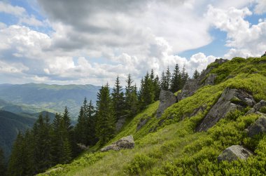 Cloudy summer landscape, green forest and grassy slopes against the background of mountain peaks and sky. Carpathian Mountains, Ukraine