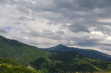 Beautiful summer landscape with forested hills, mount Strymba in the distance, and sky with low clouds. Carpathian mountains, Ukraine