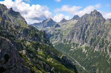 Slovakya 'daki Ulusal Park Lisesi Tatraları' nda yüksek tepeleri olan muhteşem dağ sırasına sahip Rocky manzarası