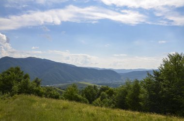Panoramic summer landscape with village is situated on the green spacious meadows between high mountains and surrounded by forests