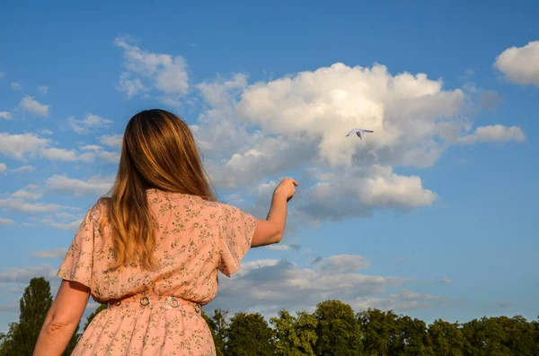 Вид Сзади Молодую Брюнетку Бросающую Бумажный Самолет Воздух Надежда Мечта — стоковое фото