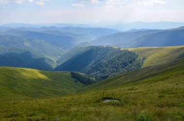 Bright colors of emerald mountain slopes in the light of the sun on a summer day. The concept of outdoor activities and mountain hiking. Borzhava range, Carpathians, Ukraine