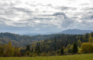 Bulutlu gökyüzünün altındaki renkli ormanlı sonbahar dağ manzarasının manzarası. Karpat Dağları, Ukrayna