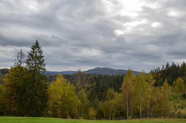 Malerischer Blick Auf Herbstbäume Gegen Berge Unter Bewölktem Himmel Karpaten — Stockfoto