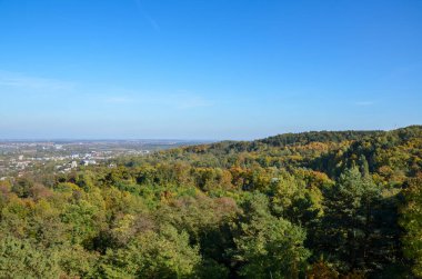 Yoğun bir ormanın yukarıdan görünüşü, güneşli bir sonbahar gününde renkli, yemyeşil gölgeler...