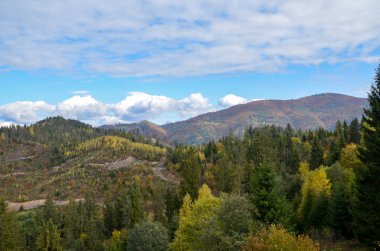 Dağların yamaçlarında renkli yaprakları olan ağaçlarla dolu manzaralı bir sonbahar manzarası. Karpatlar, Ukrayna