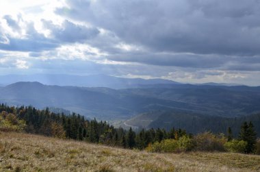 Sarı ve kırmızı ağaçlarla, yüksek dağlarla ve bulutlu gökyüzüyle güzel sonbahar manzarası. Karpat Dağları, Ukrayna