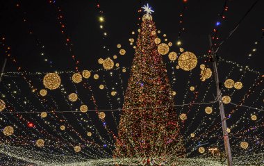 Açık havada ışıklarla süslenmiş Noel ağacı ve Kyiv 'de arka planda Aziz Sophia Katedrali. Yeni Yıl Kutlaması