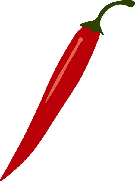 Red Chili Pepper向量和说明 — 图库矢量图片
