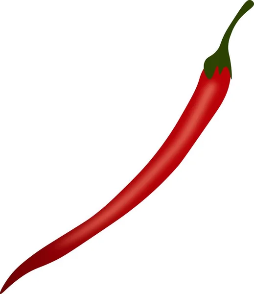 Red Chili Pepper Vector Ilustração — Vetor de Stock