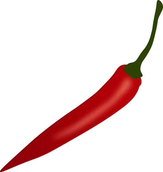 Red Chili Pepper Vector Ilustração — Vetor de Stock