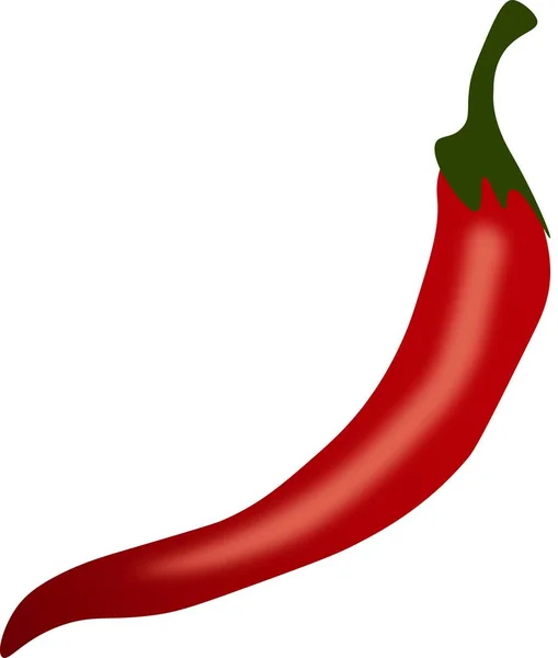 Red Chili Pepper Διάνυσμα Και Απεικόνιση — Διανυσματικό Αρχείο