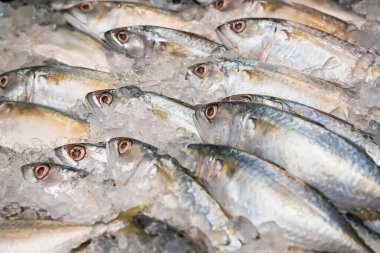 Süpermarkette buzda taze balık..