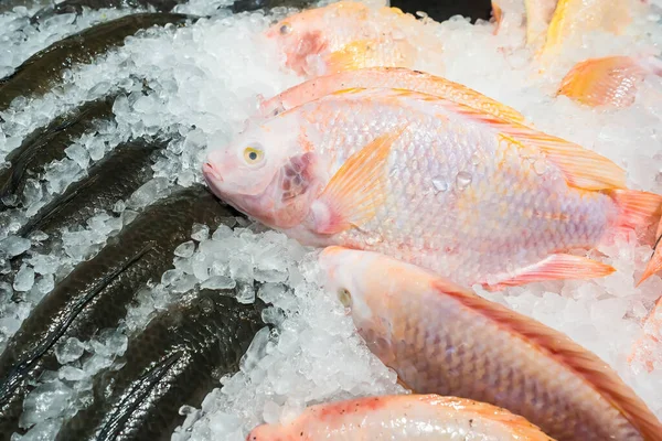 Świeże Ryby Wystawie Lodu Supermarkecie — Zdjęcie stockowe