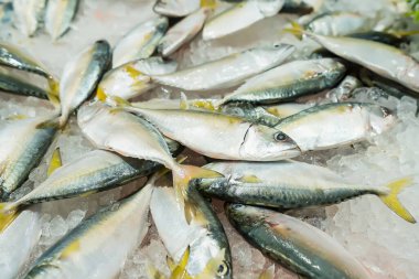 Süpermarkette buzda taze balık..