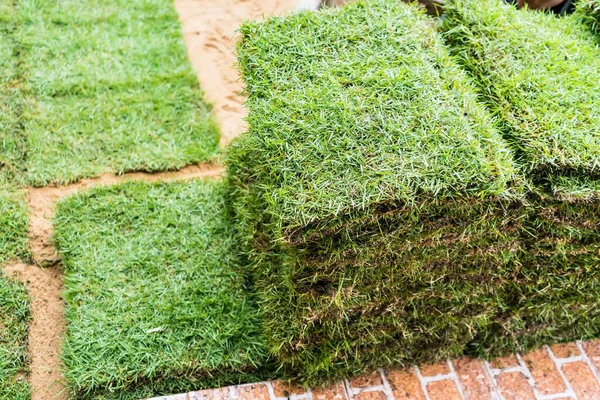 Bahçe dekorasyonu için çim