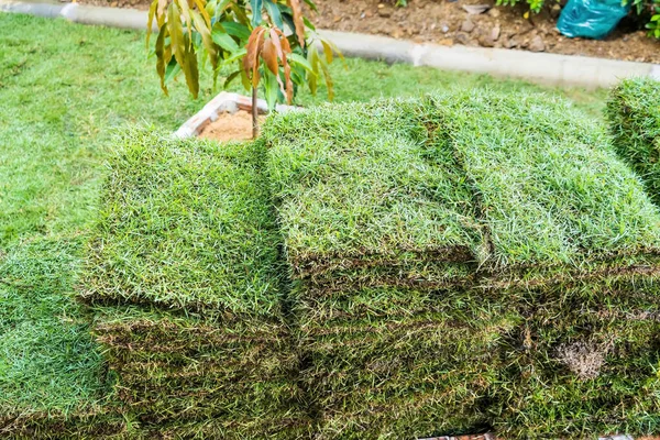 Bahçe dekorasyonu için çim