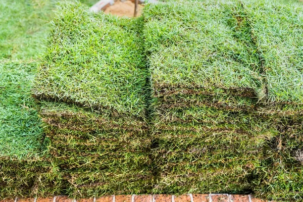Bahçe dekorasyonu için çim