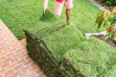 Bangkok, Tayland - 12 Eylül 2021 Adam çimen yapmak için çimenleri attı. Bangkok, Tayland 'da bir ön bahçe dekorasyon işi..