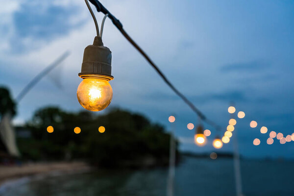 Decorative beautiful vintage lamp bulbs at twilight time.