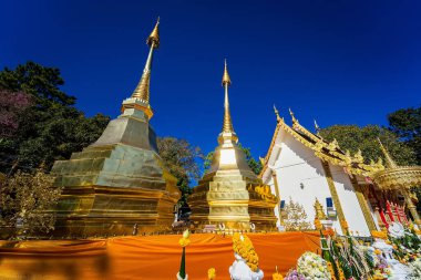Chiang Rai, Tayland - Ocak, 09, 2021: Wat Phra Doi Tung Tayland 'ın Chiang Rai şehrinde güzel bir altın tapınaktır..