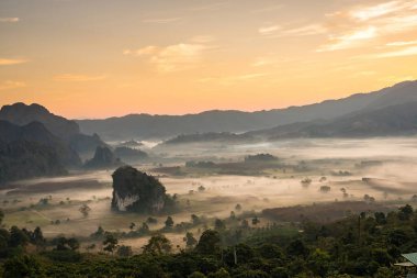 Sunrise and The Mist with Mountain Background, Peyzaj Phu Langka, Payao Eyaleti, Tayland.