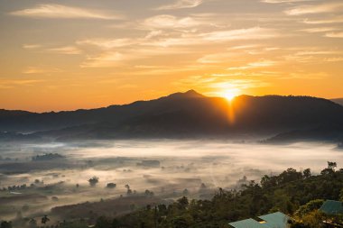 Sunrise and The Mist with Mountain Background, Peyzaj Phu Langka, Payao Eyaleti, Tayland.
