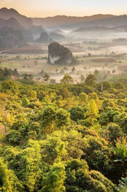 Sunrise and The Mist with Mountain Background, Peyzaj Phu Langka, Payao Eyaleti, Tayland.
