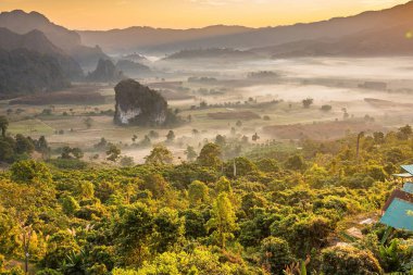 Sunrise and The Mist with Mountain Background, Peyzaj Phu Langka, Payao Eyaleti, Tayland.
