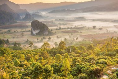 Sunrise and The Mist with Mountain Background, Peyzaj Phu Langka, Payao Eyaleti, Tayland.