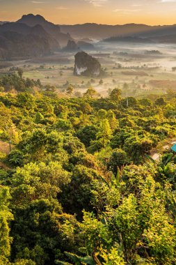 Sunrise and The Mist with Mountain Background, Peyzaj Phu Langka, Payao Eyaleti, Tayland.