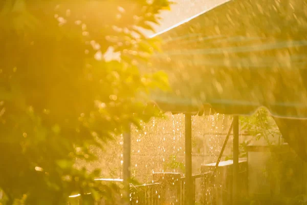 Rainy Day Rainy Season Evening Thailand — Stock Photo, Image