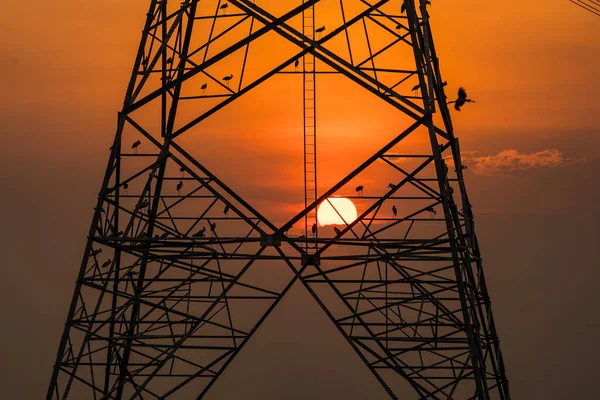 Yüksek Voltaj Direğine Tünemiş Kuş Silueti Yüksek Voltajlı Kule Gökyüzü — Stok fotoğraf