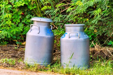 Sabahleyin somutlaştırma kooperatiflerine çiğ süt taşır..