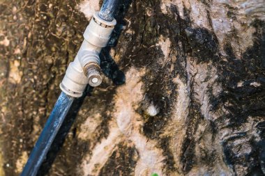 Sıcak havayı azaltmak için nemlendirici ve serinletici iklim yapmak için sis hortumu püskürtme sistemi