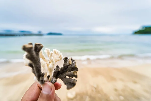 Коралловый Риф Руке Берегу Моря Белый Песчаный Пляж Таиланда — стоковое фото