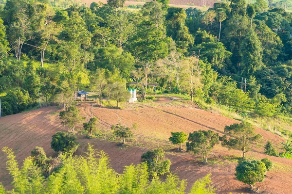 Otlak tepelerde gün batımında önce anlar. Tayland.