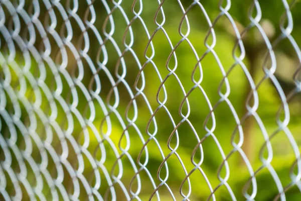 Closeup Barbed Wire Mesh Green Foliage Grass Background — Zdjęcie stockowe