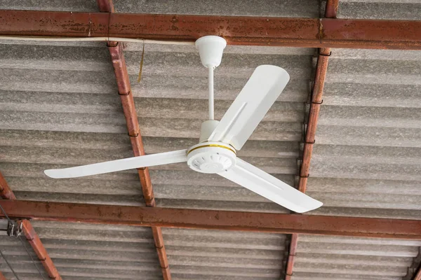 Ceiling fan under rattan roof